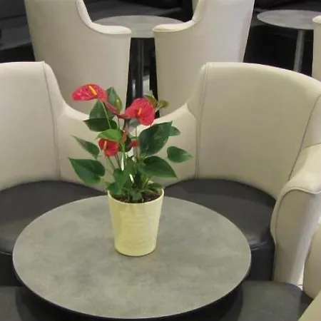 Notre Dame De France 호텔