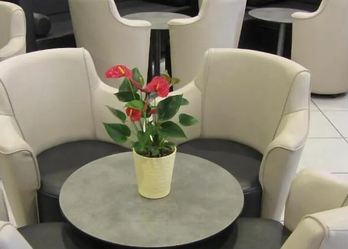 Notre Dame De France Hotell